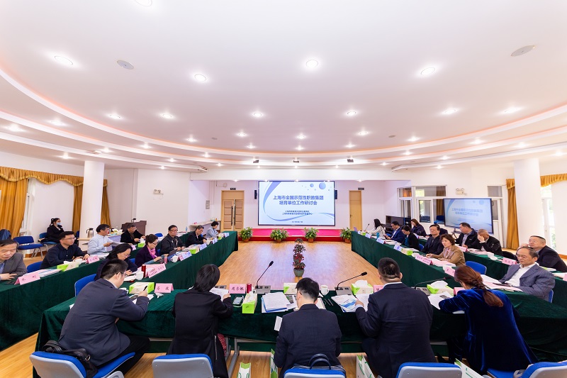 上海市全国示范性职教集团培育单位工作研讨会顺利召开